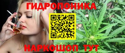 кокс Можга