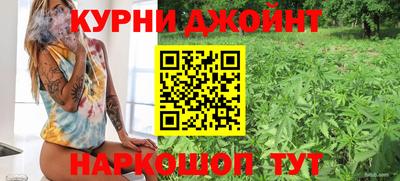 кокс Можга