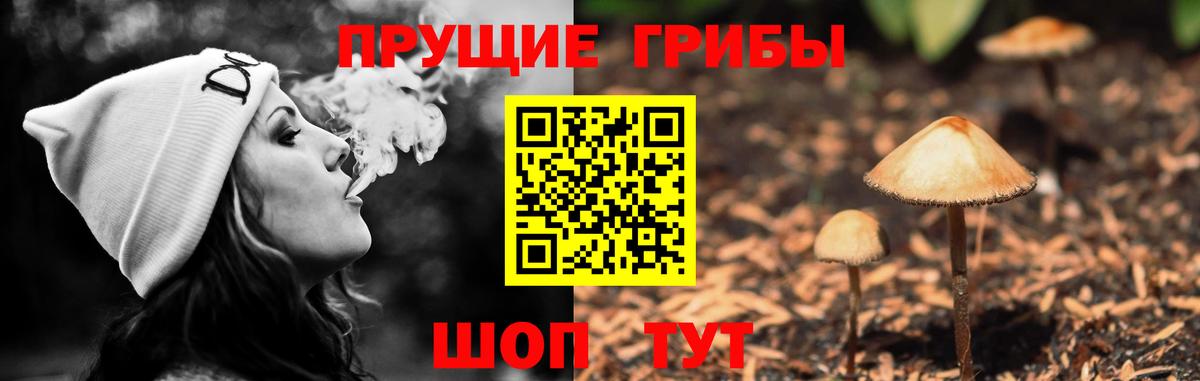 Галлюциногенные грибы GOLDEN TEACHER  Вход с VPN  Дзержинск 